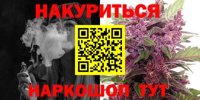 шишки Кимры