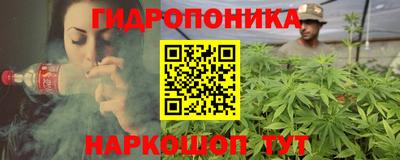 шишки Кимры